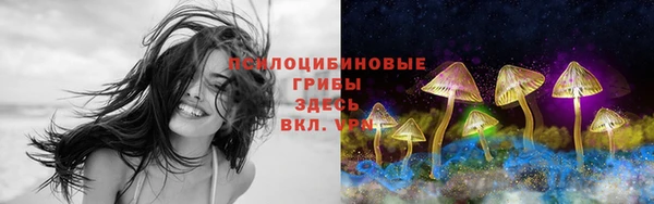 молекула духа Алзамай